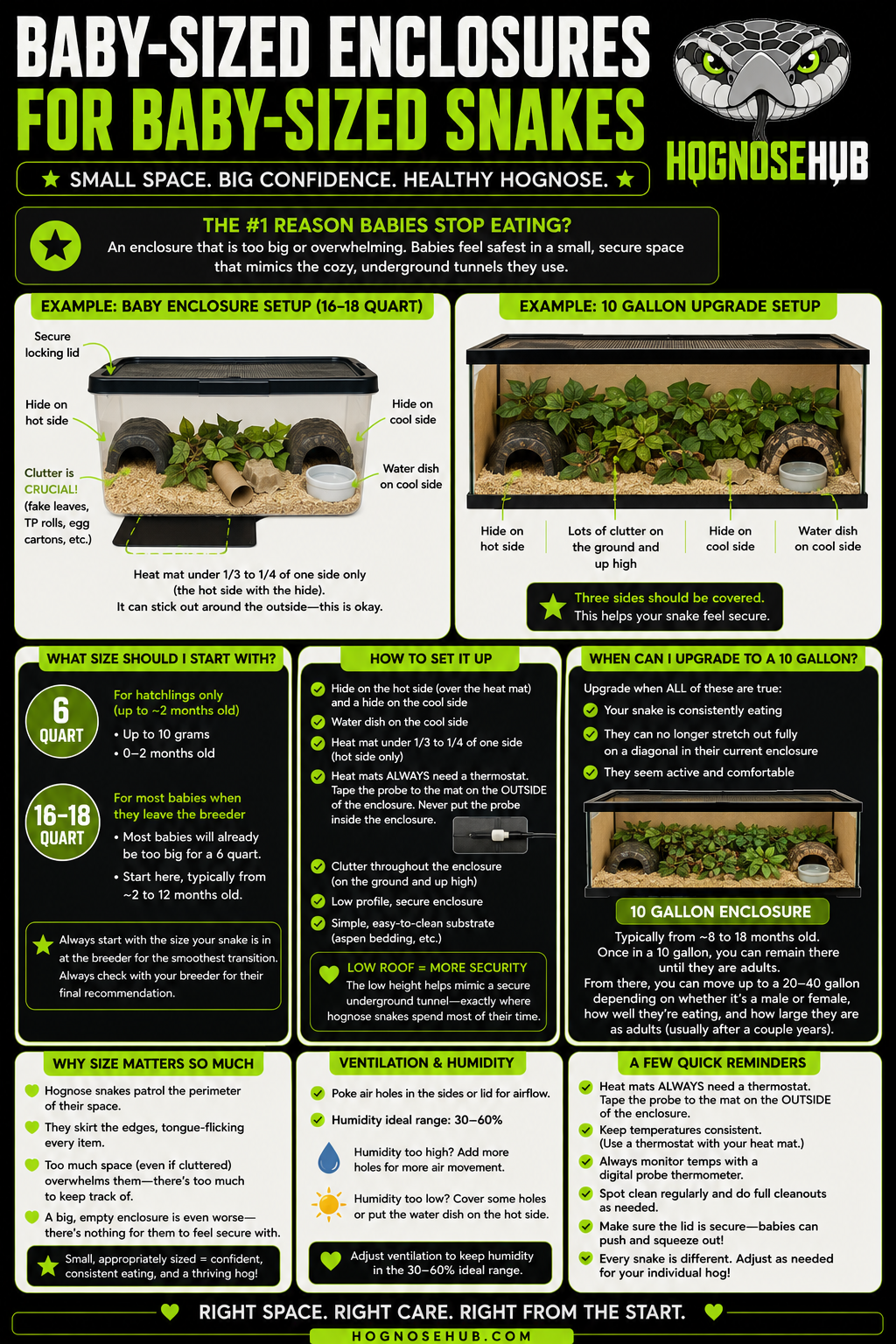 Enclosure sizing guide for hatchling and juvenile western hognose — tub sizes, heat, humidity, clutter, and when to upgrade