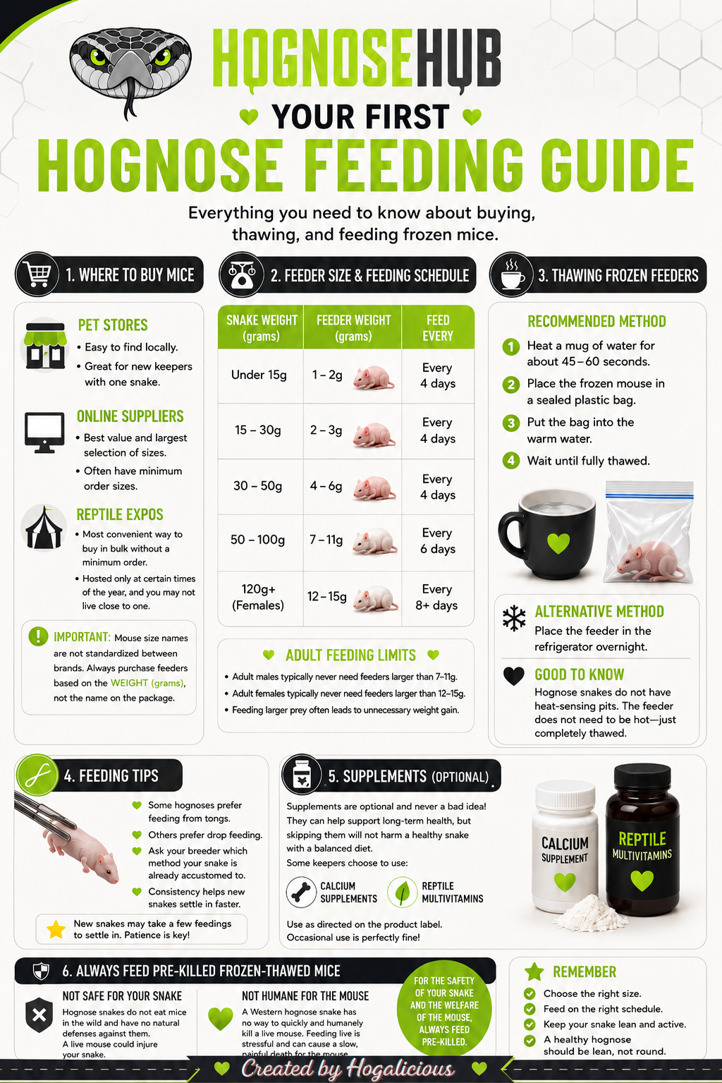Feeding guide for western hognose covering prey type, size, and frequency