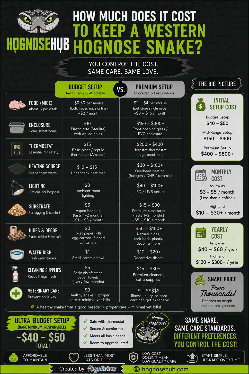 Breakdown of the upfront and ongoing costs of keeping a western hognose
