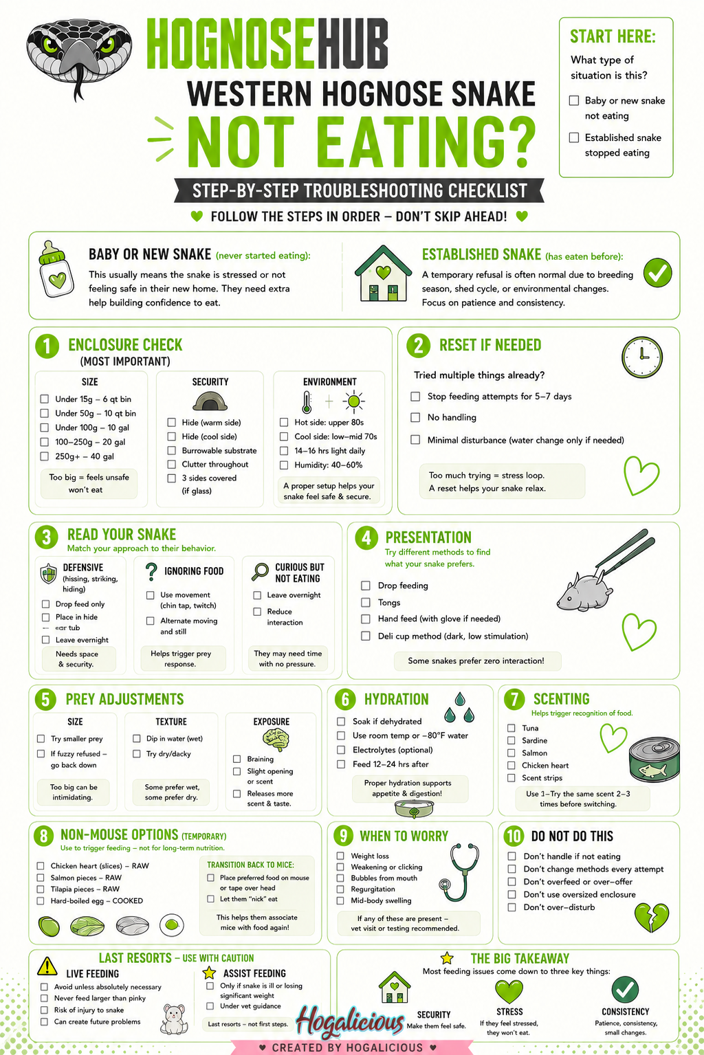 Troubleshooting guide for a western hognose that is refusing food